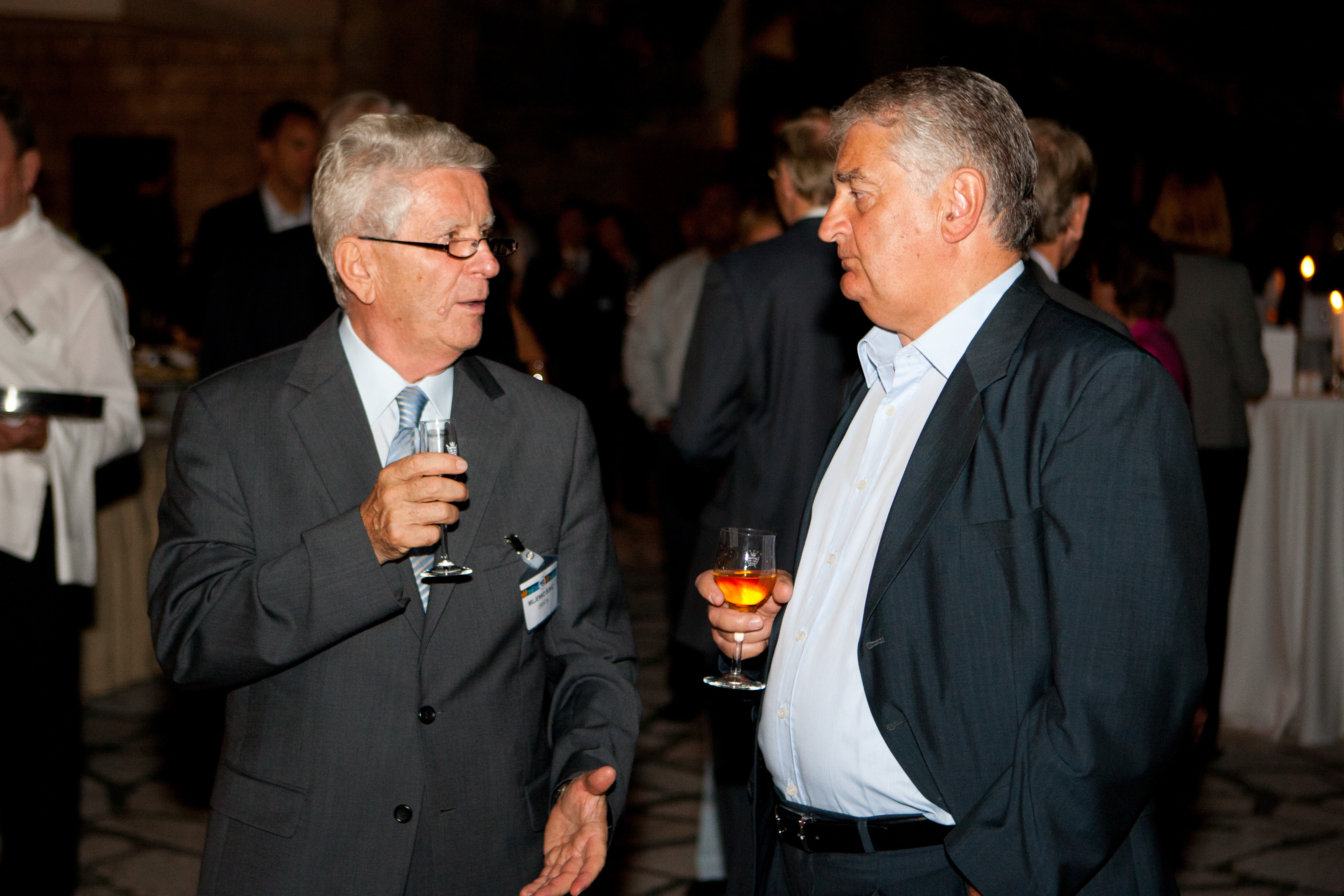 Council meting in Dubrovnik, 2011
