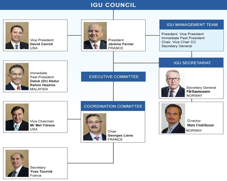 IGU New Organisation 2015