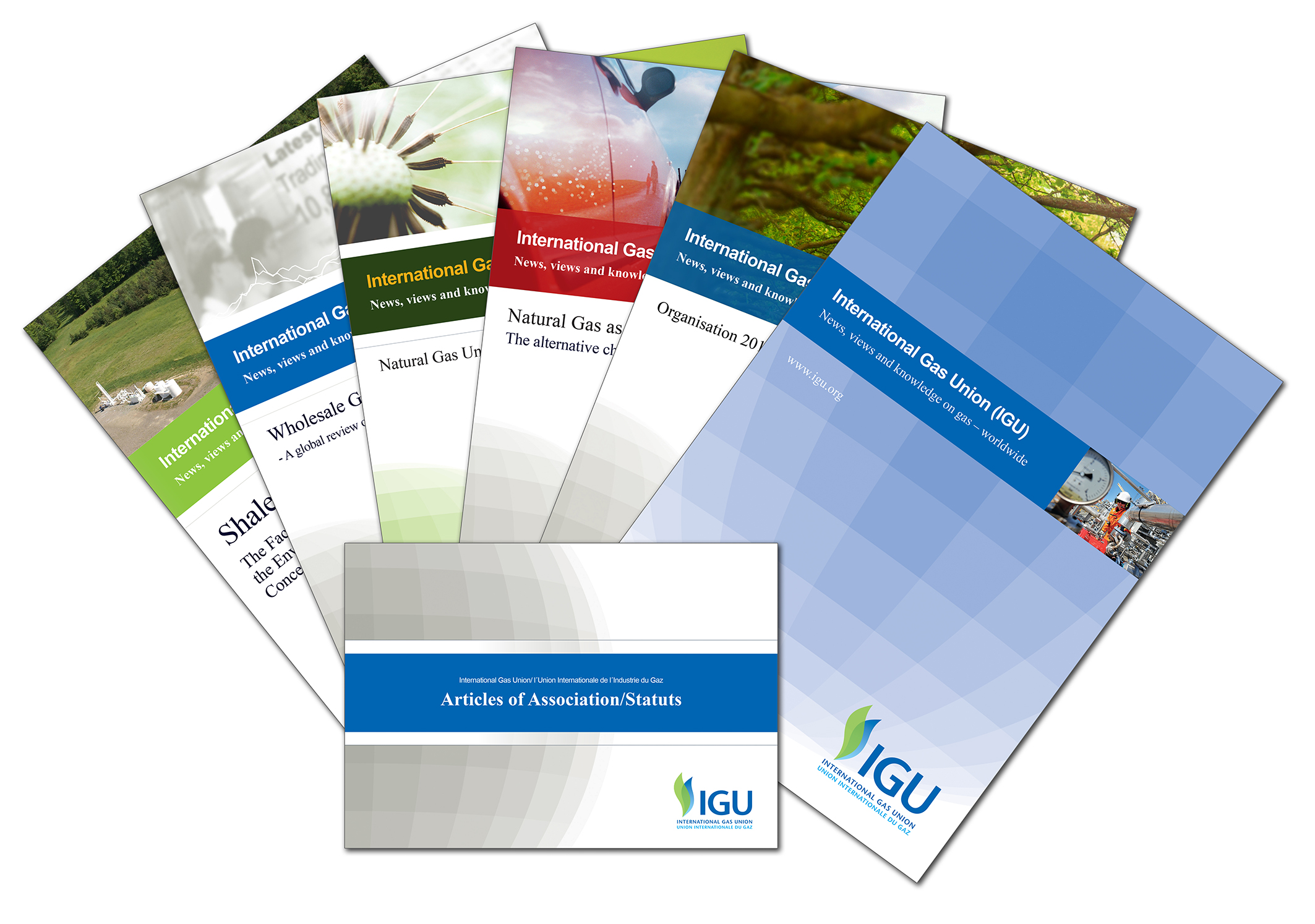 IGU Publications