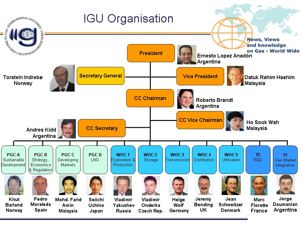 IGU organisation chart